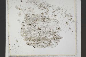 Plane Polarized, S42523