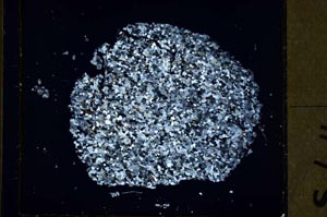 Cross Polarized, S42542