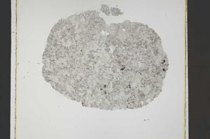 Plane Polarized, S42546