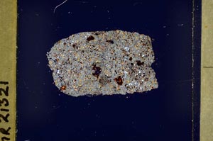 Cross Polarized, S42547