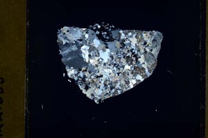 Cross Polarized, S42552