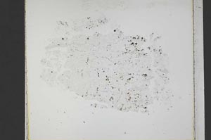 Plane Polarized, S42562/A