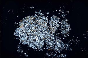 Cross Polarized, S42565