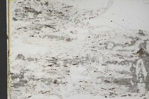 Plane Polarized, S42566