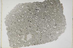 Plane Polarized, S42576