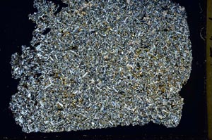 Cross Polarized, S42577