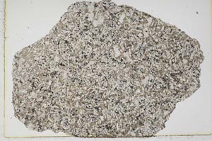 Plane Polarized, S42578