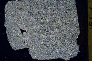 Cross Polarized, S42579