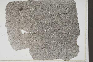 Plane Polarized, S42579