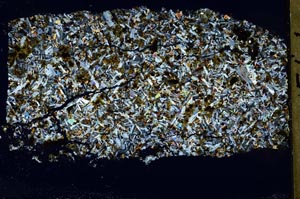 Cross Polarized, S42580