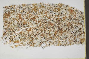 Plane Polarized, S42580