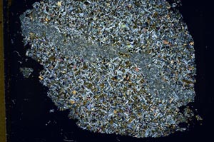 Cross Polarized, S42581