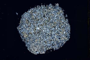 Cross Polarized, S42582