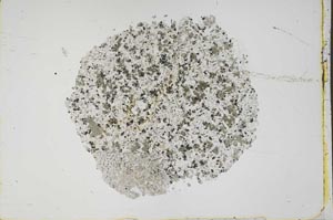 Plane Polarized, S42582