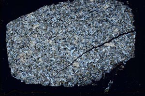 Cross Polarized, S42583