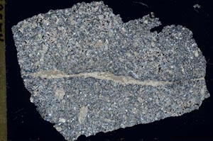 Cross Polarized, S42584