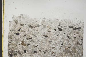 Plane Polarized, S42585