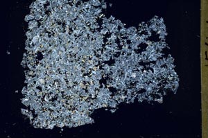 Cross Polarized, S42586