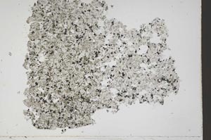 Plane Polarized, S42586