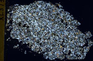 Cross Polarized, S42587