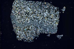 Cross Polarized, S42588