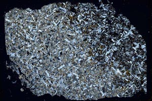 Cross Polarized, S42591