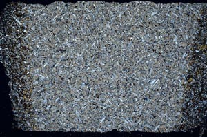 Cross Polarized, S42592