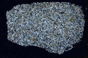 Cross Polarized, S42593