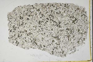 Plane Polarized, S42593