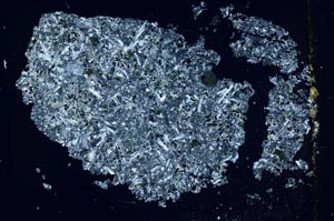 Cross Polarized, S42594