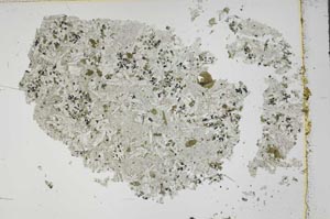 Plane Polarized, S42594