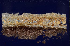 Cross Polarized, S42595