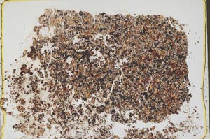 Plane Polarized, S42597