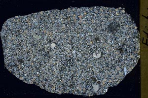 Cross Polarized, S42598