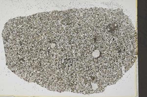 Plane Polarized, S42598