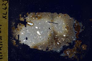 Cross Polarized, S42599