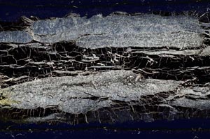 Cross Polarized, S42624