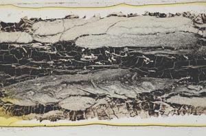 Plane Polarized, S42624