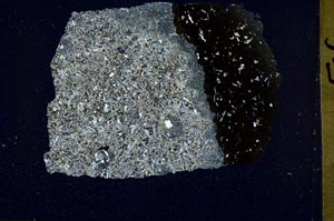 Cross Polarized, S42665