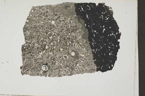 Plane Polarized, S42665