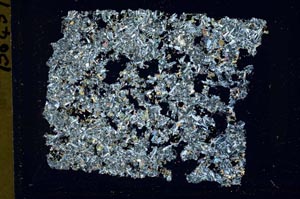 Cross Polarized, S42666