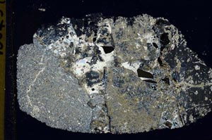 Cross Polarized, S42668