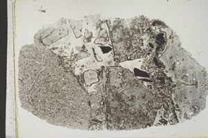 Plane Polarized, S42668