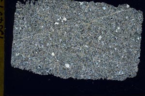 Cross Polarized, S42669