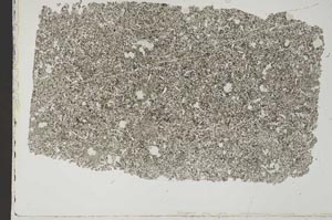 Plane Polarized, S42669