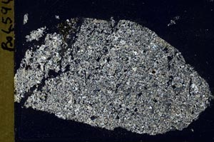 Cross Polarized, S42670