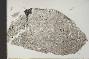 Plane Polarized, S42670