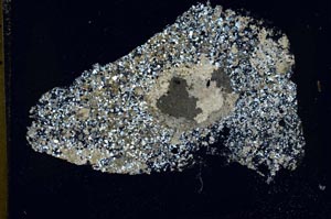 Cross Polarized, S42671