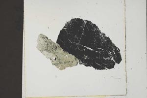 Plane Polarized, S42672