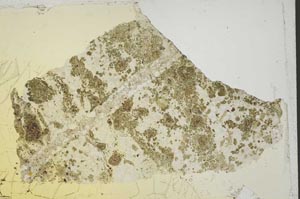Plane Polarized, S42680